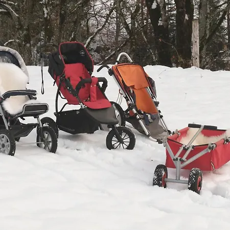 Apartmenthaus Kristall *